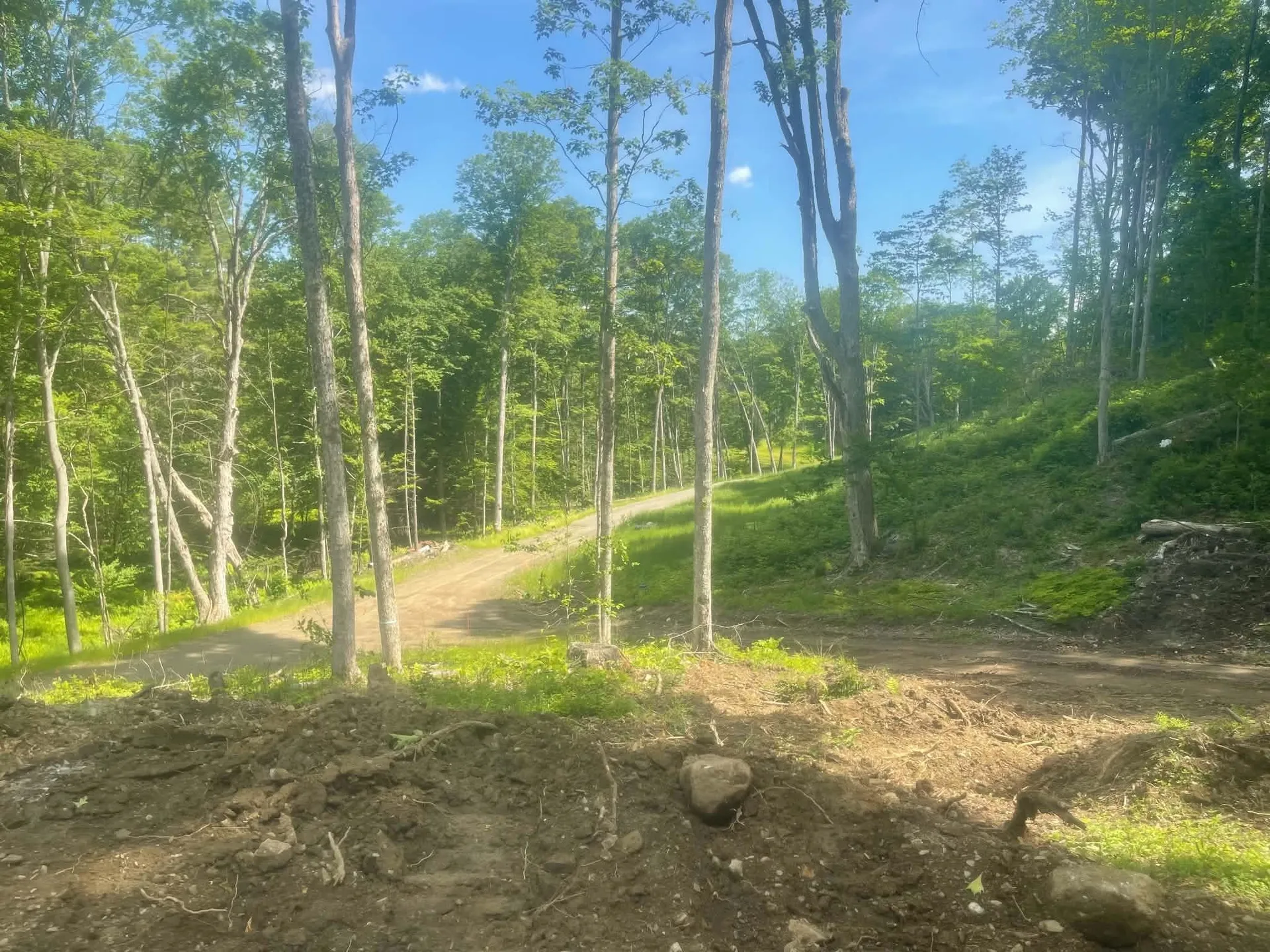 932 Middle Road Dummerston VT 05301