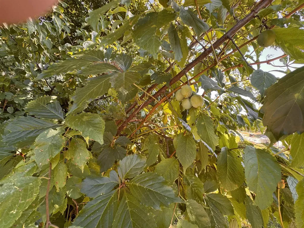 25 Sweat Street Richford VT 05476