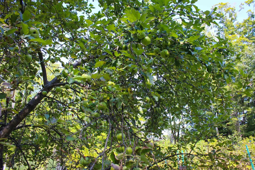 339 Burt Hill Road Winchester NH 03470