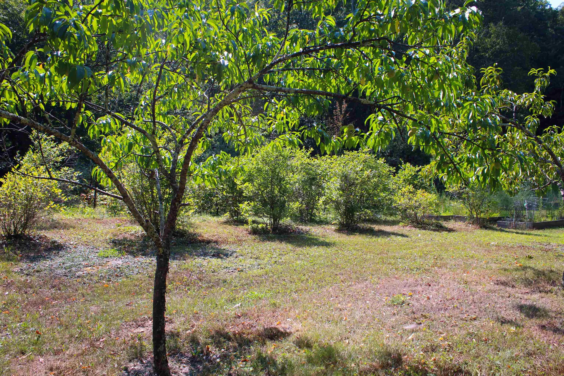 339 Burt Hill Road Winchester NH 03470