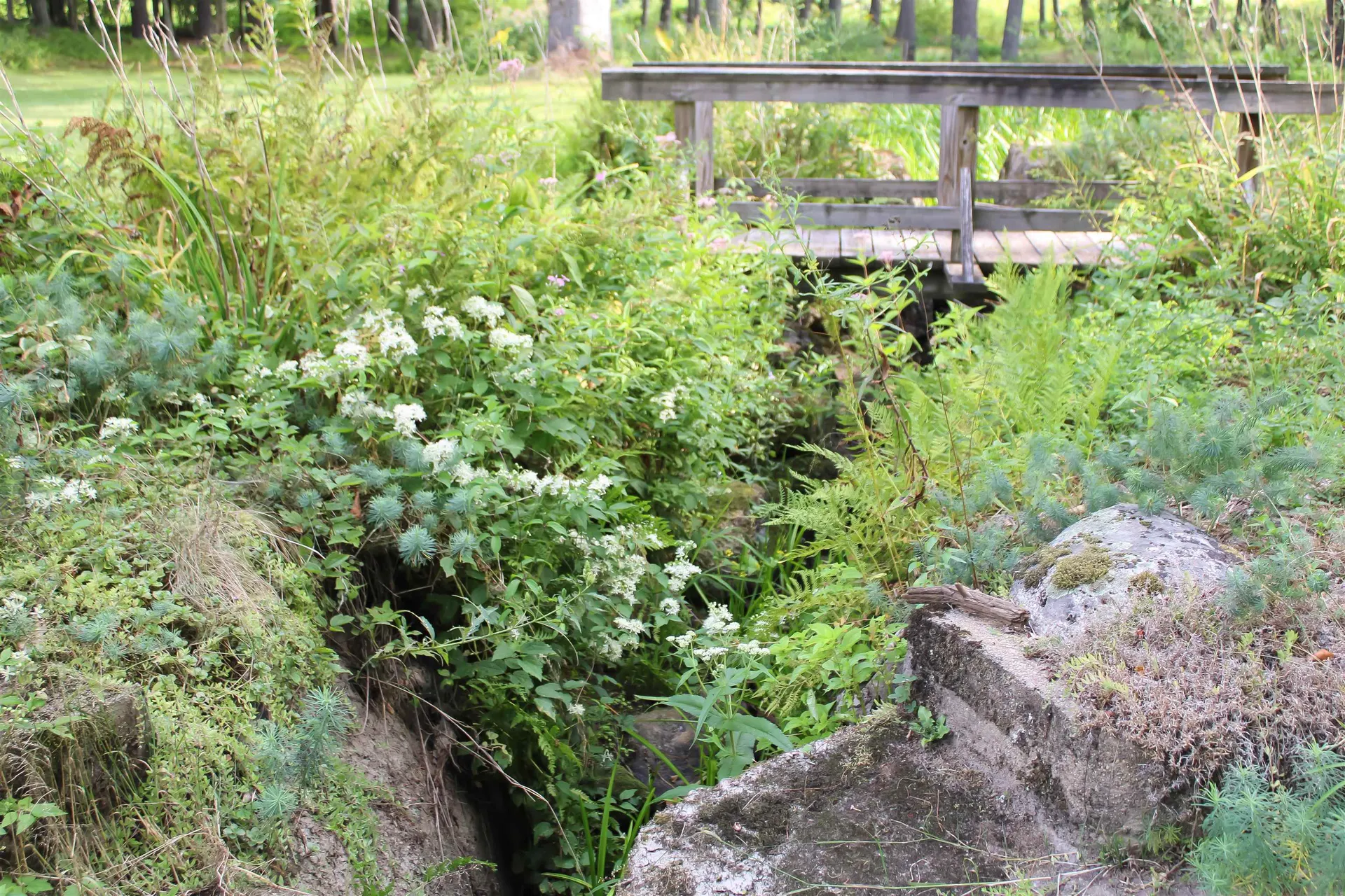 339 Burt Hill Road Winchester NH 03470