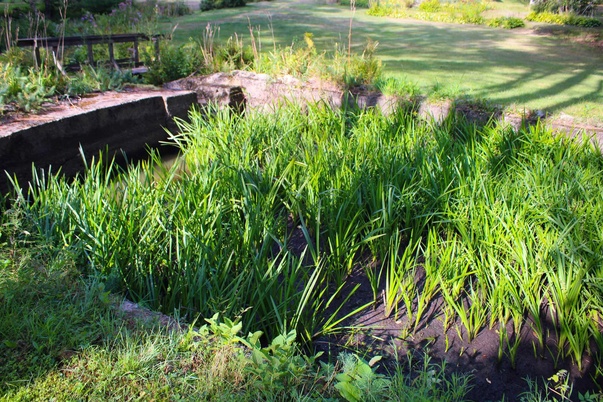 339 Burt Hill Road Winchester NH 03470