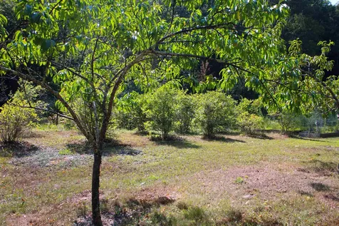 339 Burt Hill Road Winchester NH 03470