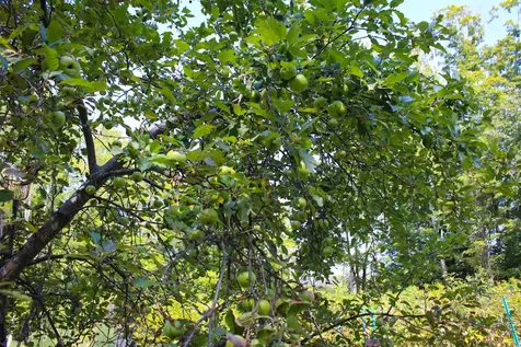 339 Burt Hill Road Winchester NH 03470