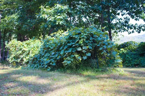 339 Burt Hill Road Winchester NH 03470