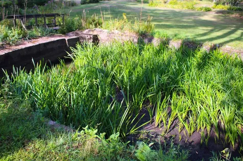 339 Burt Hill Road Winchester NH 03470