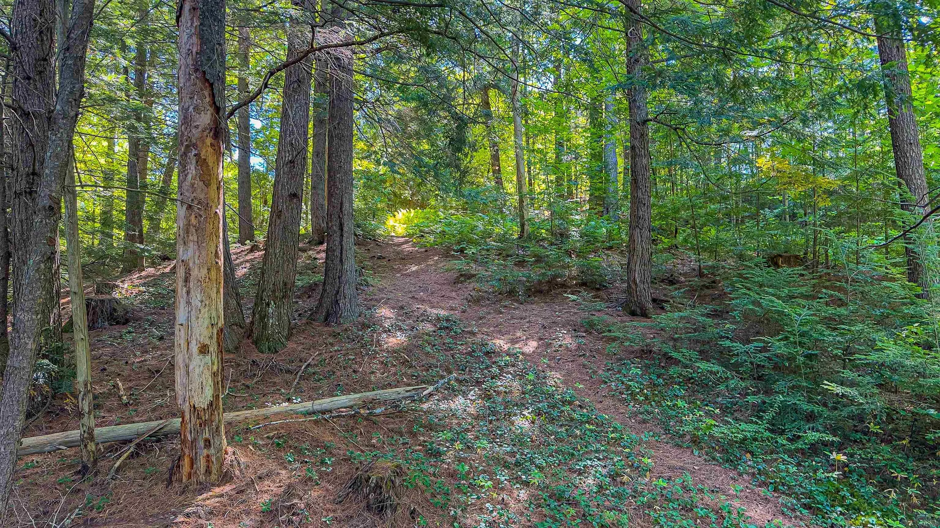 839 Lovell Road Lovell ME 04051