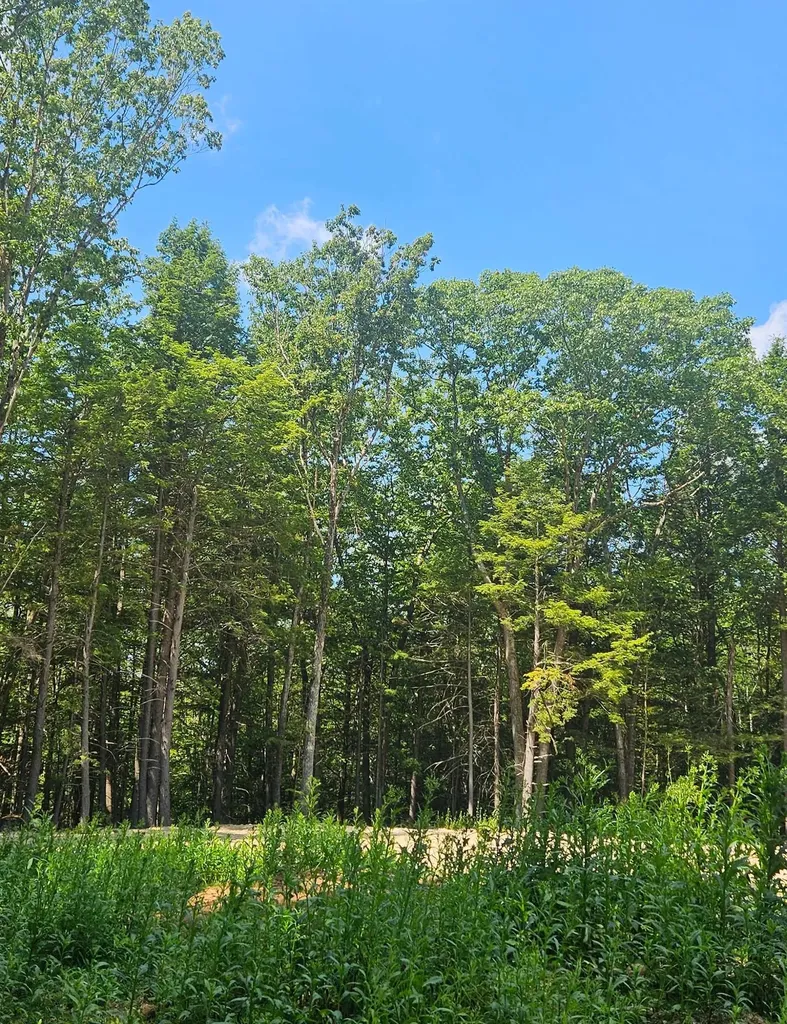 17 Bald Hill Road Raymond NH 03077