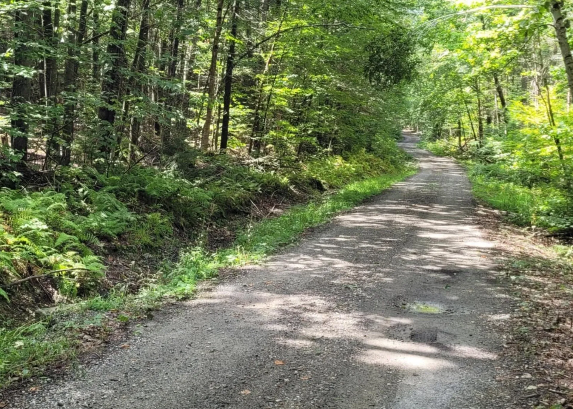 00 Chaos Turnpike Cavendish VT 05142