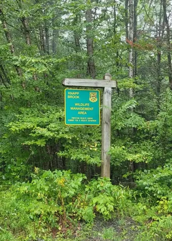 00 Chaos Turnpike Cavendish VT 05142