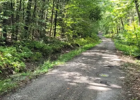 00 Chaos Turnpike Cavendish VT 05142