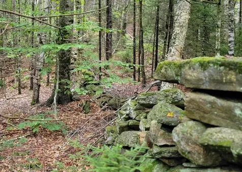 00 Chaos Turnpike Cavendish VT 05142