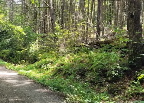 00 Chaos Turnpike Cavendish VT 05142