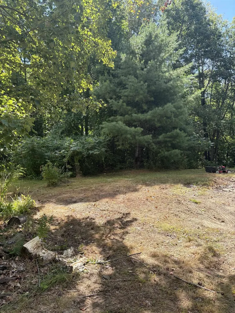 19 Easy Avenue Albany NH 03818