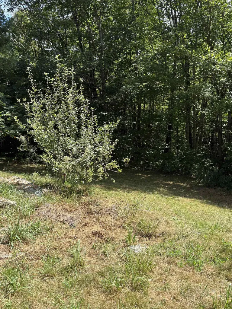 19 Easy Avenue Albany NH 03818