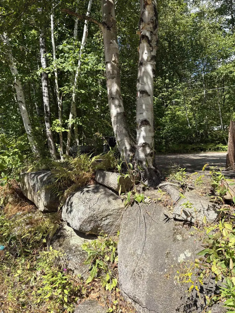 19 Easy Avenue Albany NH 03818