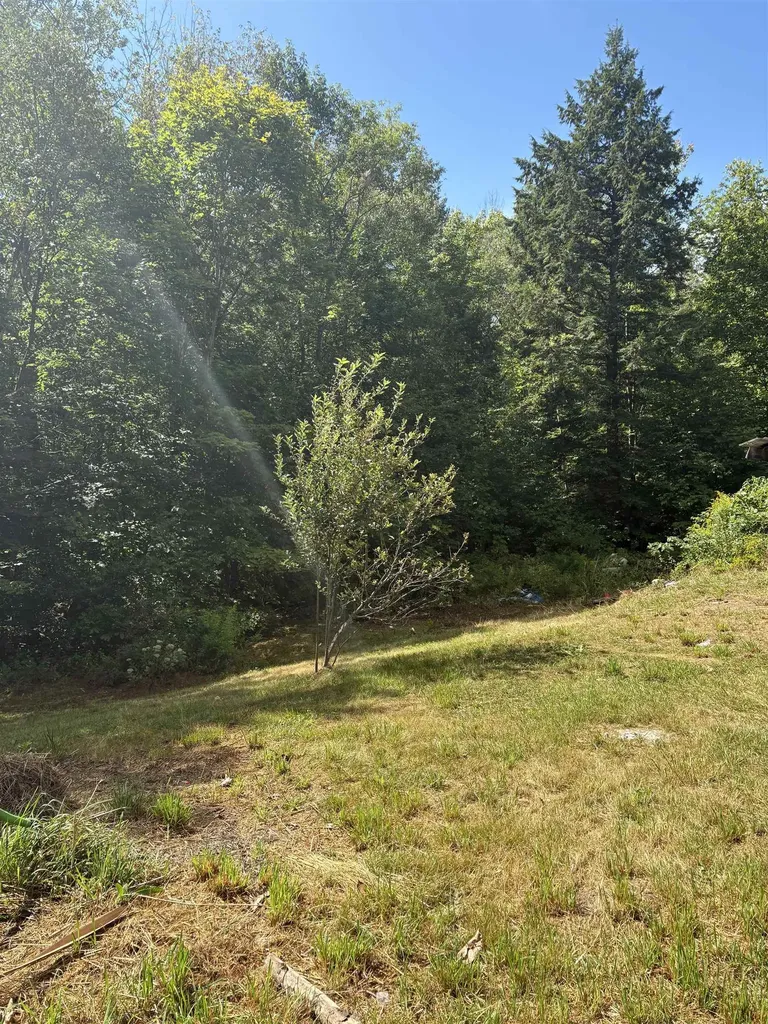 19 Easy Avenue Albany NH 03818