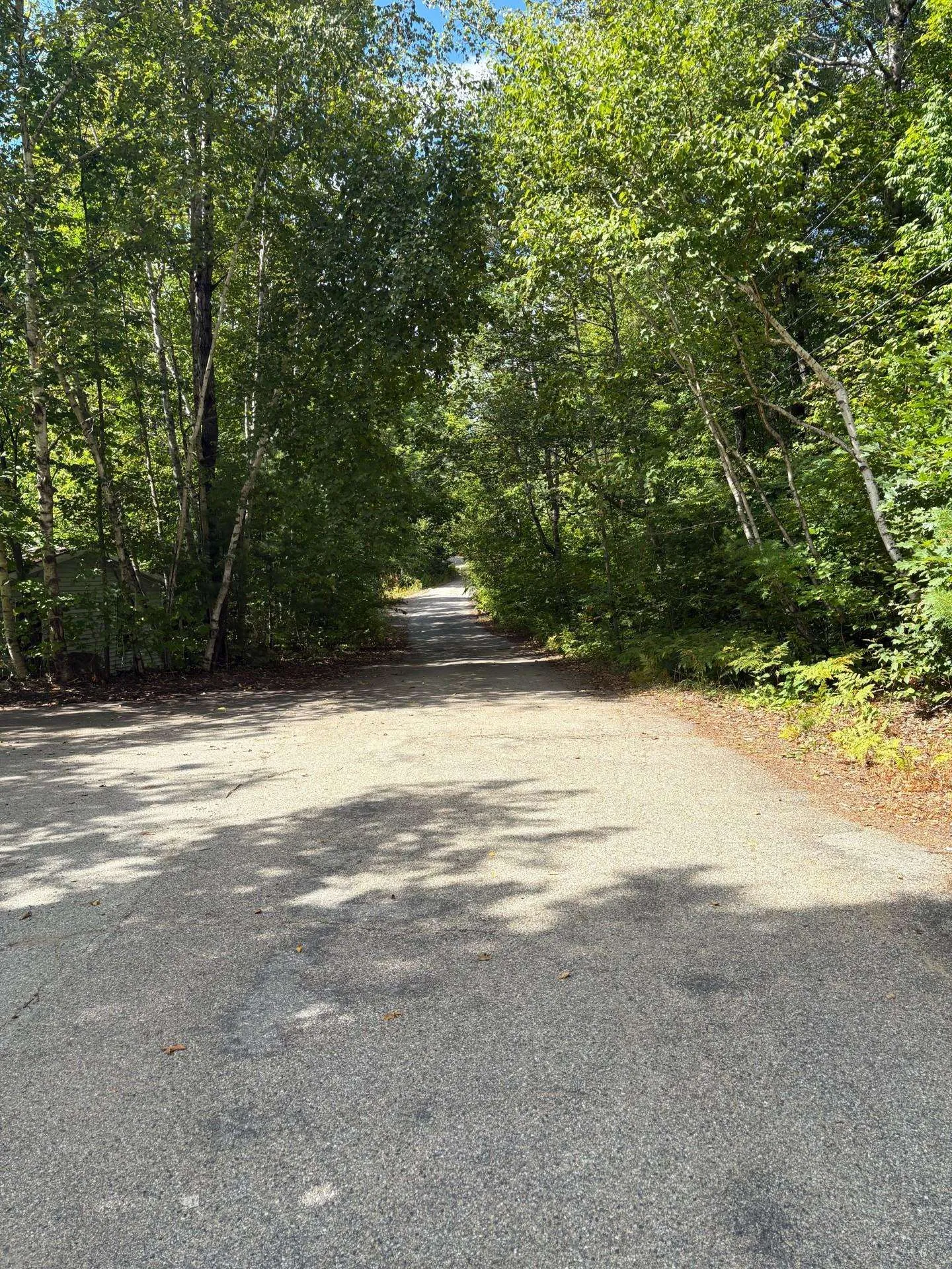 19 Easy Avenue Albany NH 03818