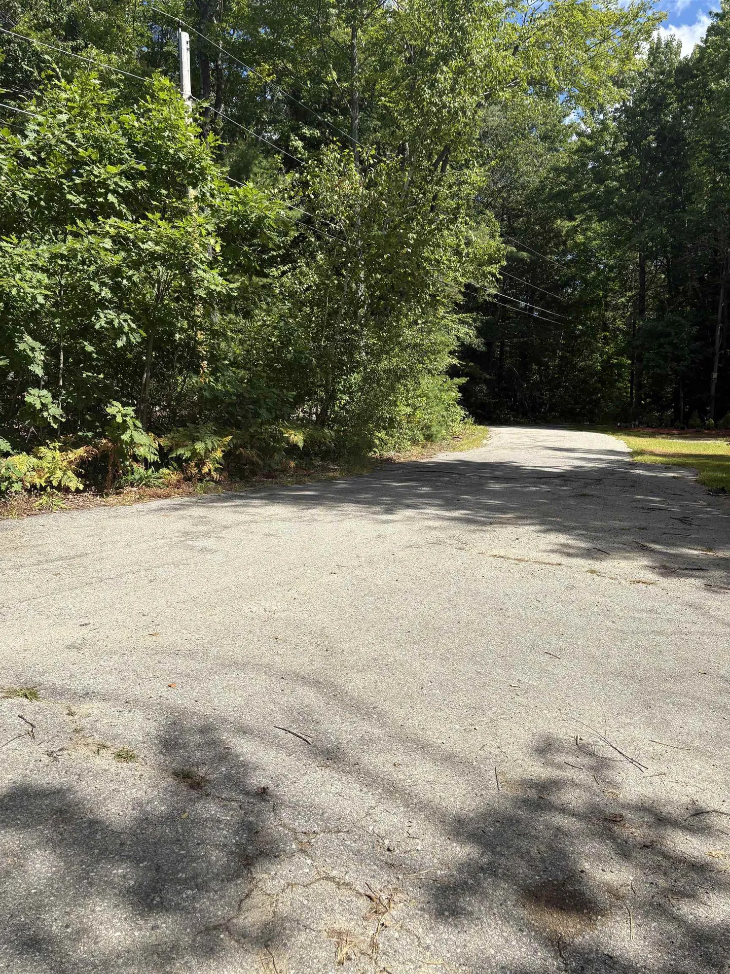 19 Easy Avenue Albany NH 03818