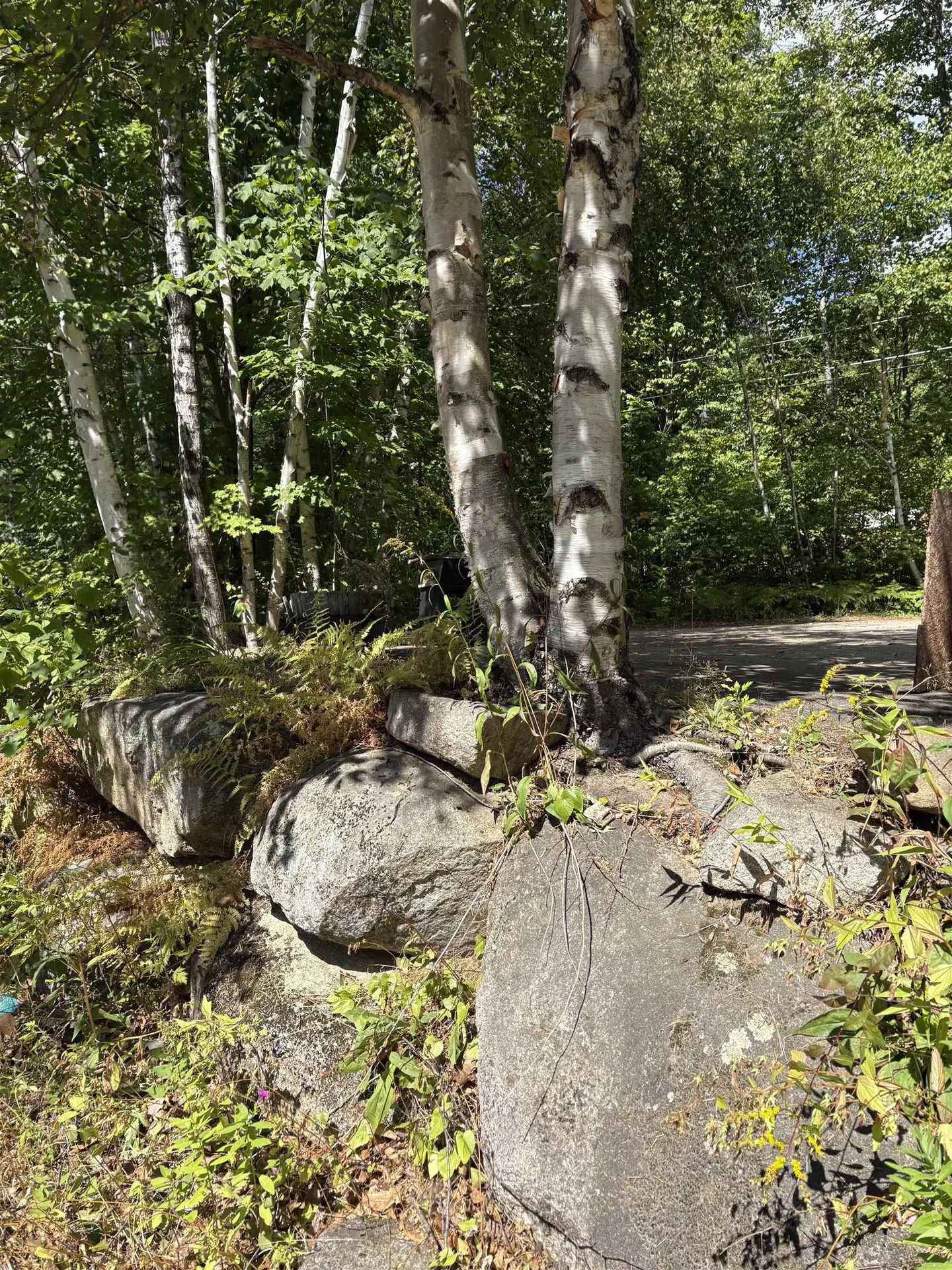 19 Easy Avenue Albany NH 03818