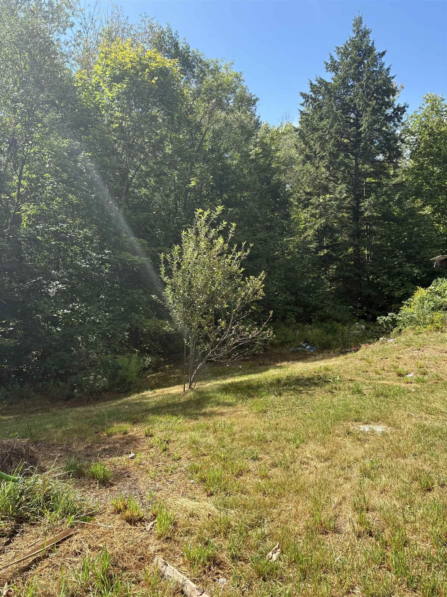 19 Easy Avenue Albany NH 03818