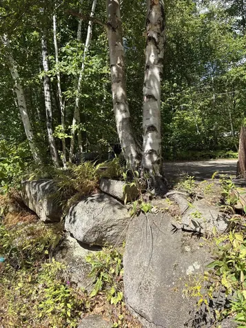 19 Easy Avenue Albany NH 03818