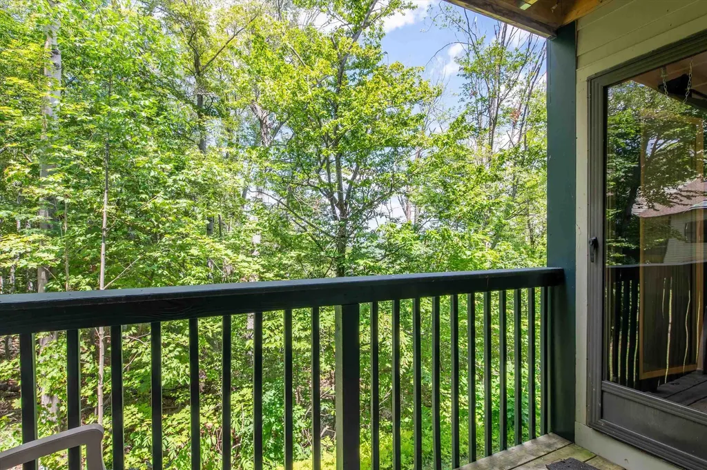 42 Harrison Lane Ludlow VT 05149