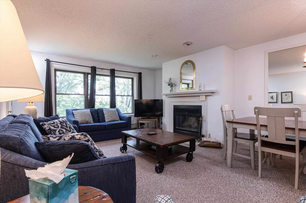 42 Harrison Lane Ludlow VT 05149