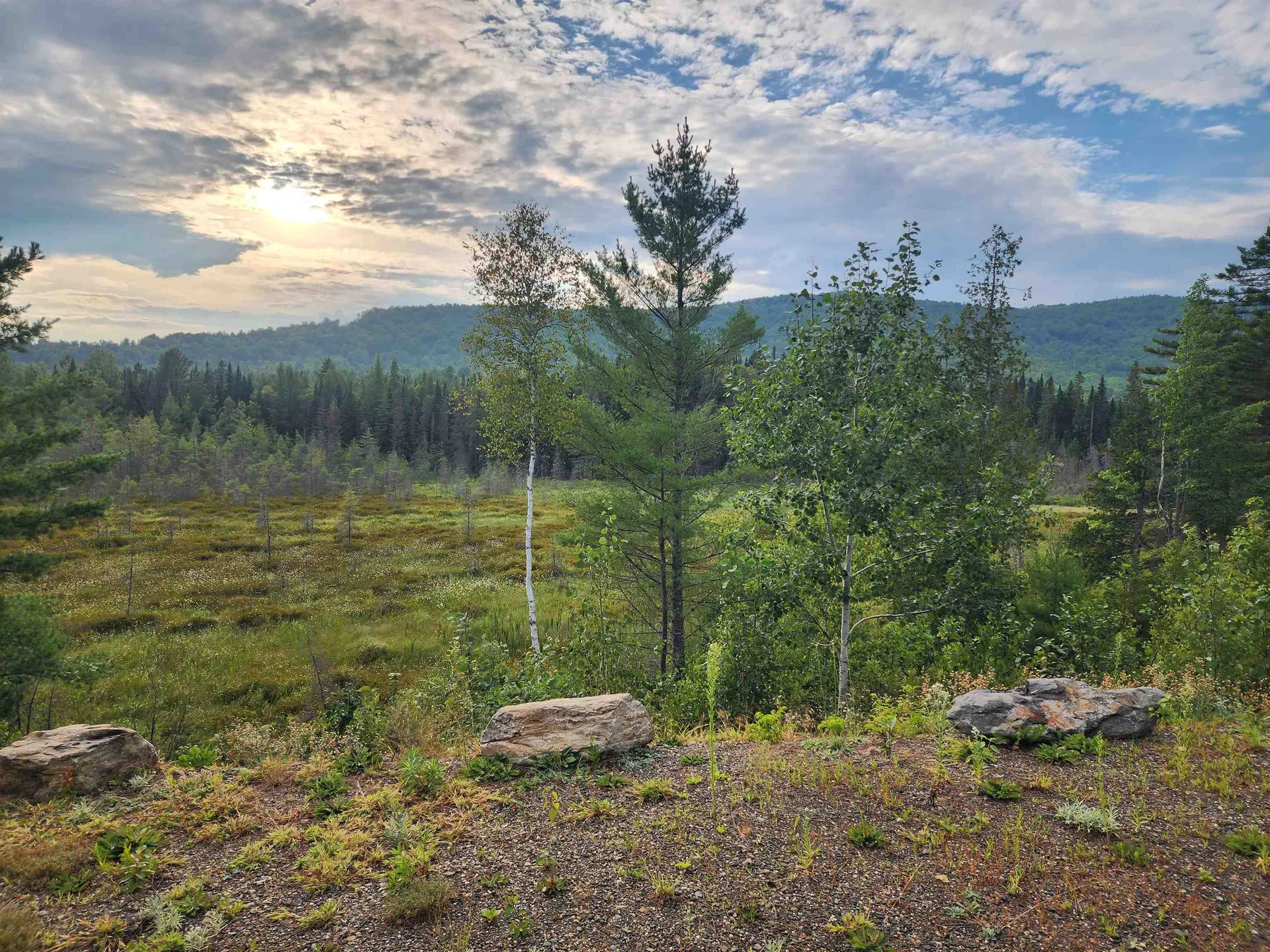 67 Stump Road Errol NH 03579