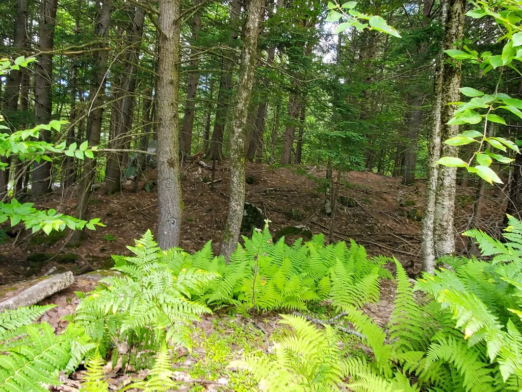 339 Lakeshore Drive New London NH 03257