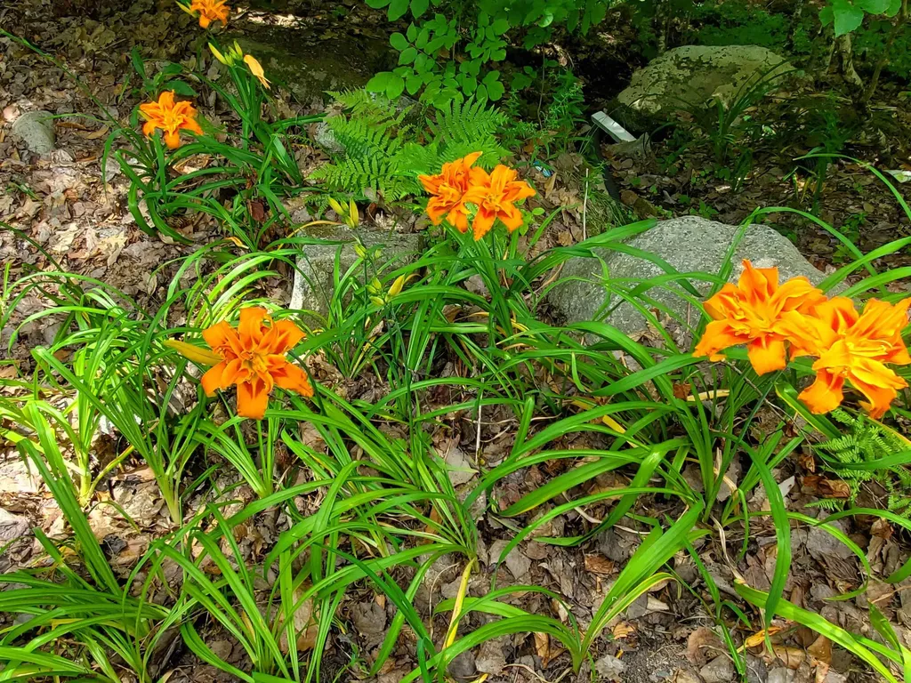 339 Lakeshore Drive New London NH 03257