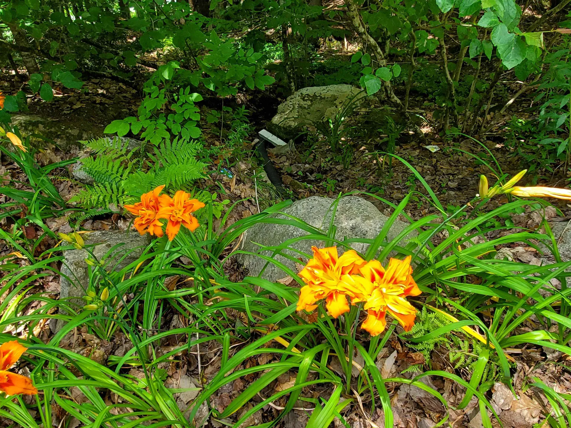 339 Lakeshore Drive New London NH 03257