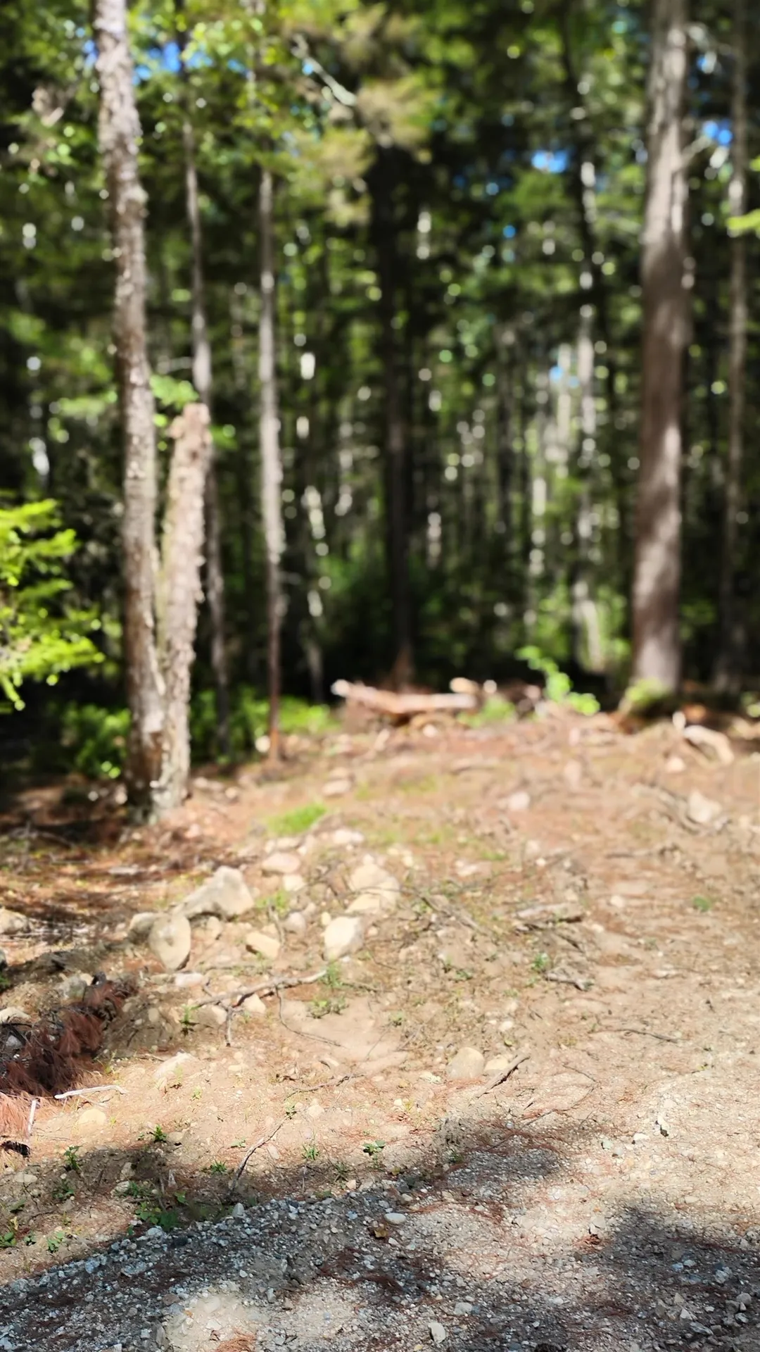 Lot 2 Nh Route 4a Grafton NH 03240