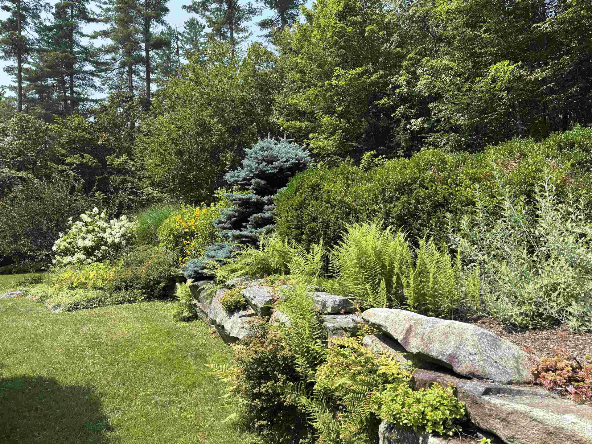 202 Pratt Bridge Road Jamaica VT 05343