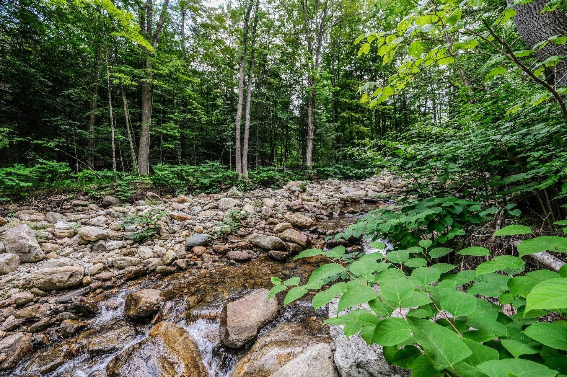 57 Route 100 S Ludlow VT 05149