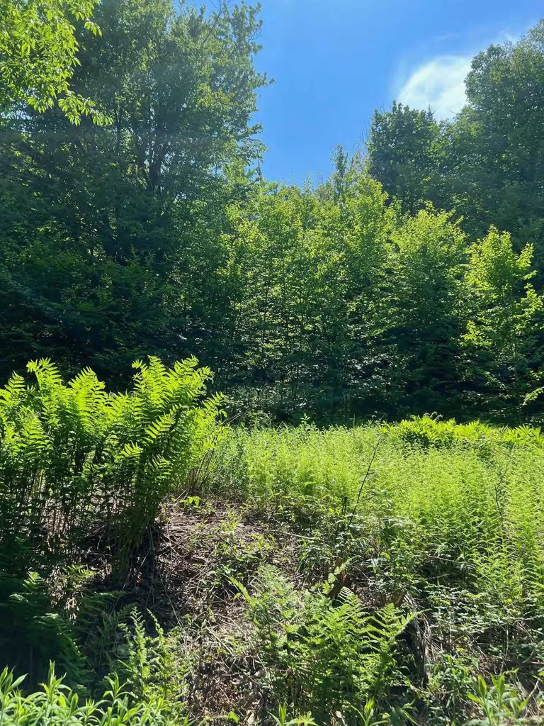 00 Albin Hill Bethel VT 05060