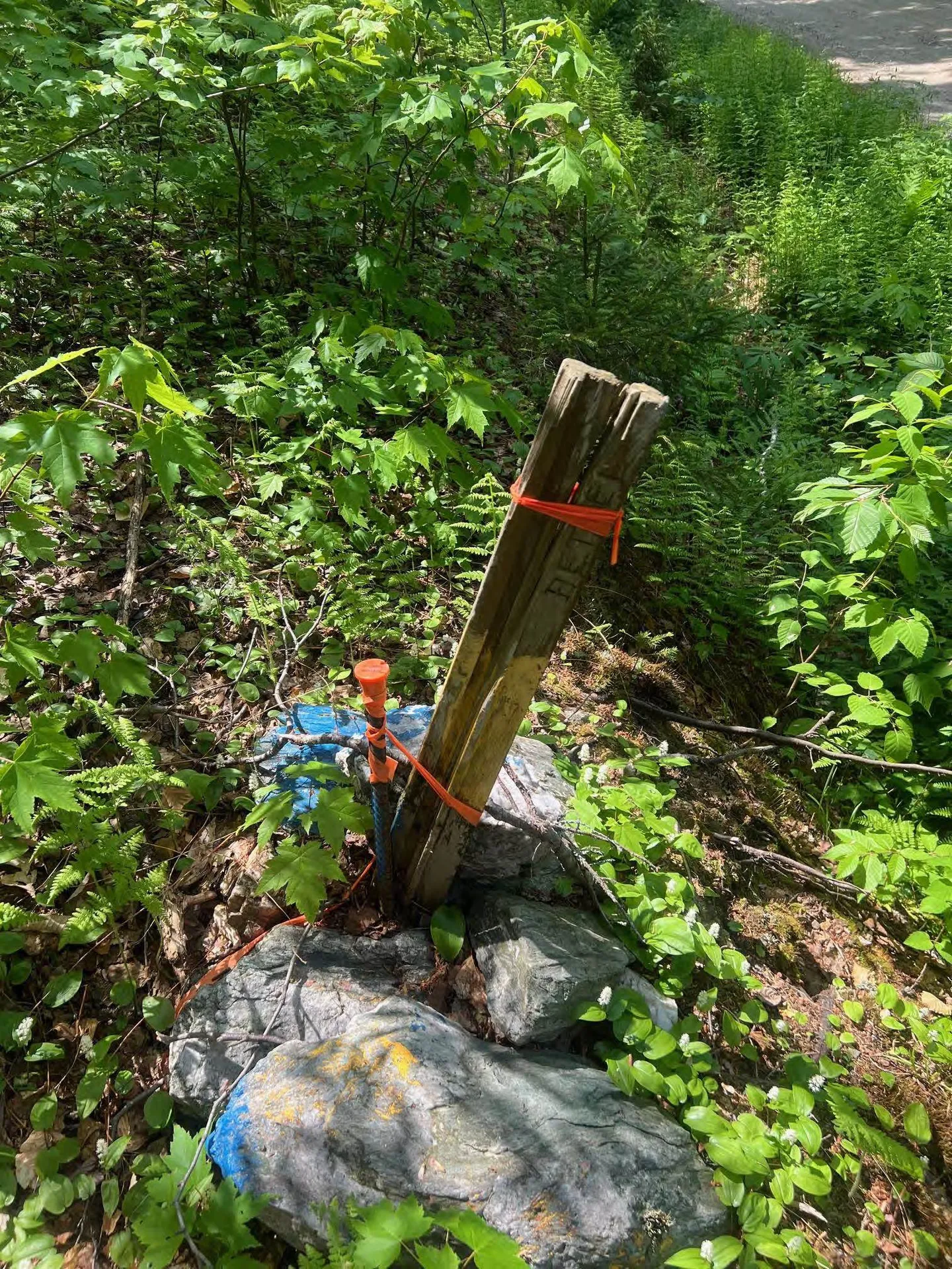 00 Albin Hill Bethel VT 05060