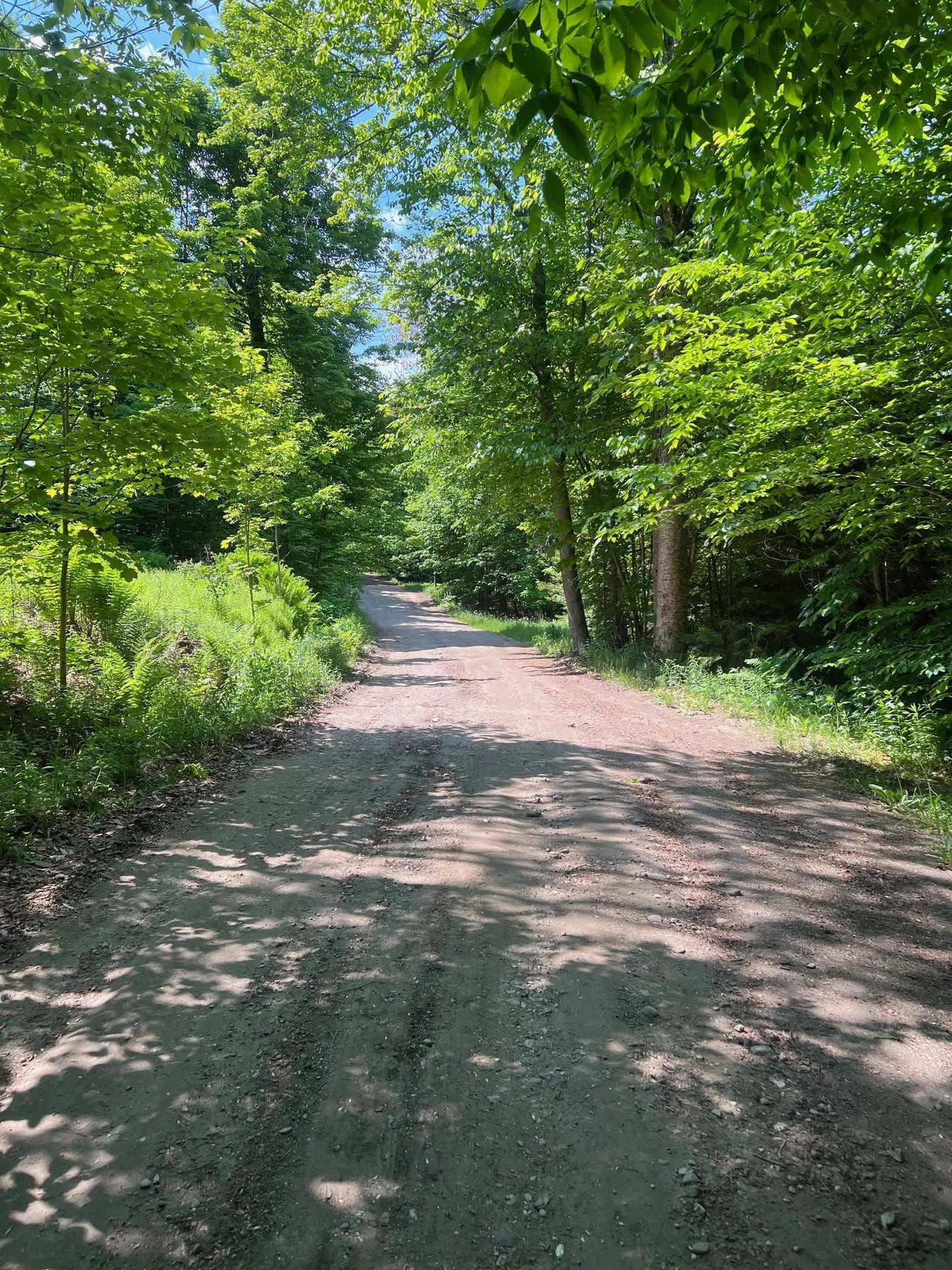 00 Albin Hill Bethel VT 05060