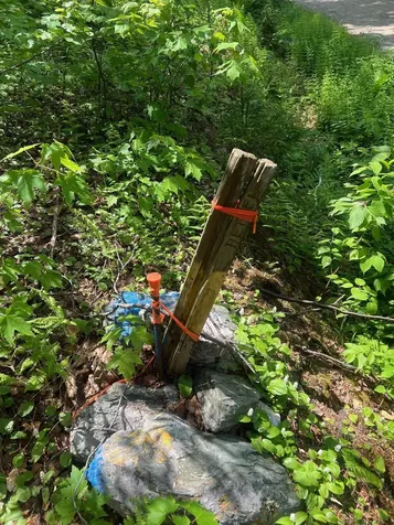 00 Albin Hill Bethel VT 05060