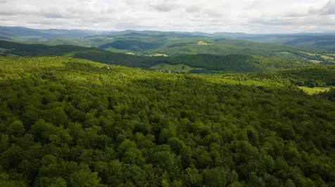 00 Albin Hill Bethel VT 05060