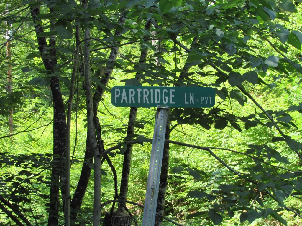 Oos-65-13 Partridge Lane Jamaica VT 05343