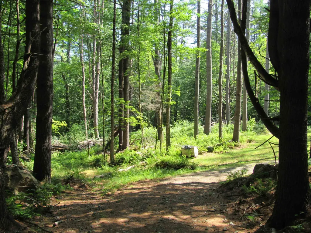 OOS-65-13 Partridge Lane Jamaica VT 05343