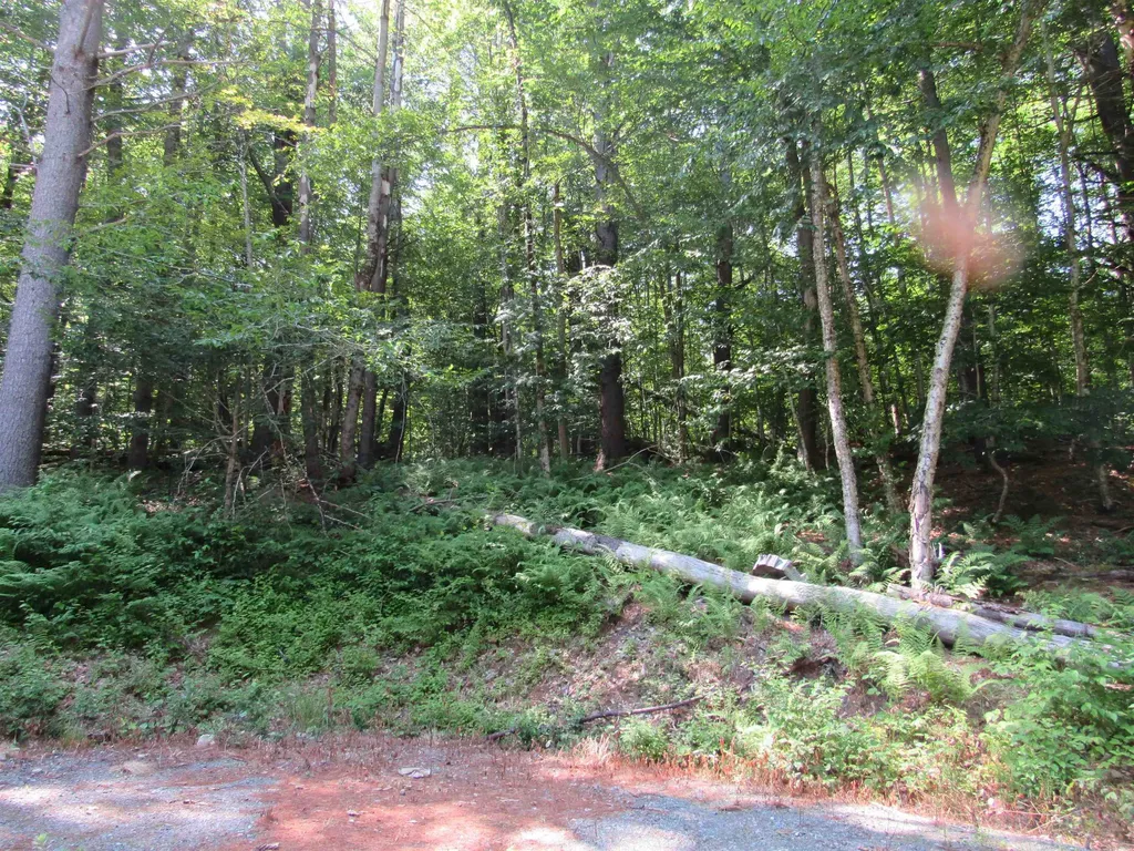 OOS-65-13 Partridge Lane Jamaica VT 05343