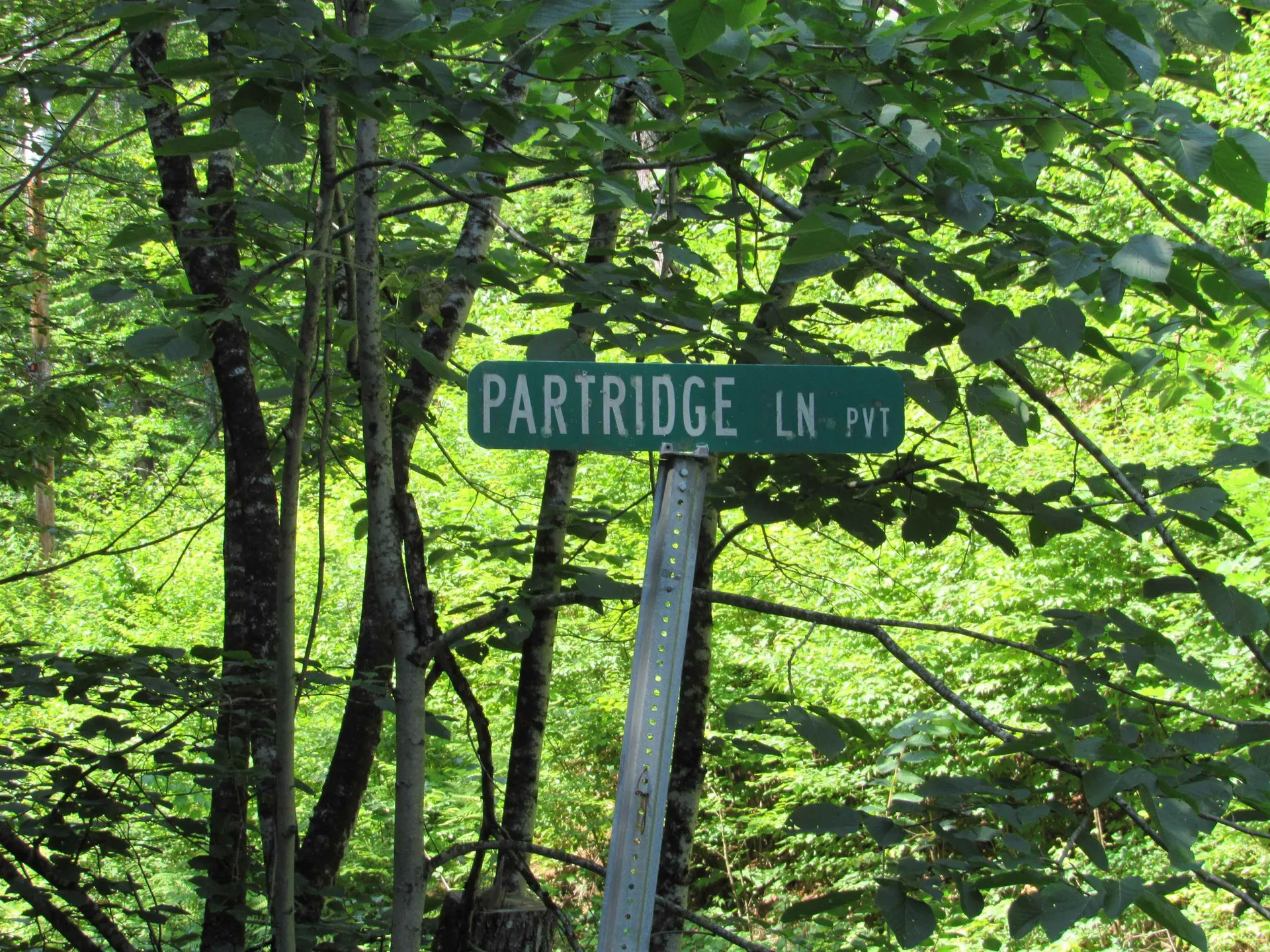 OOS-65-13 Partridge Lane Jamaica VT 05343