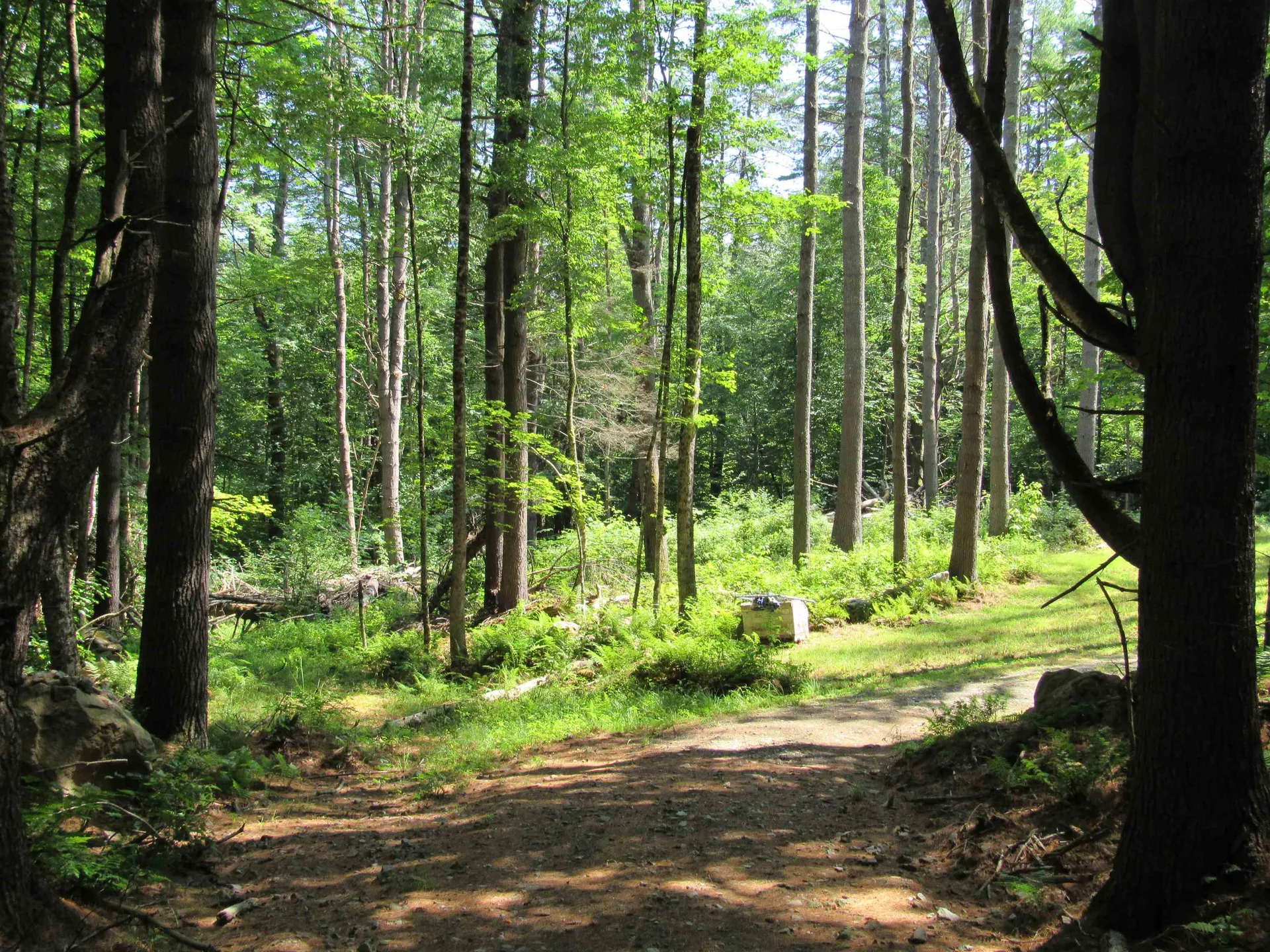 OOS-65-13 Partridge Lane Jamaica VT 05343