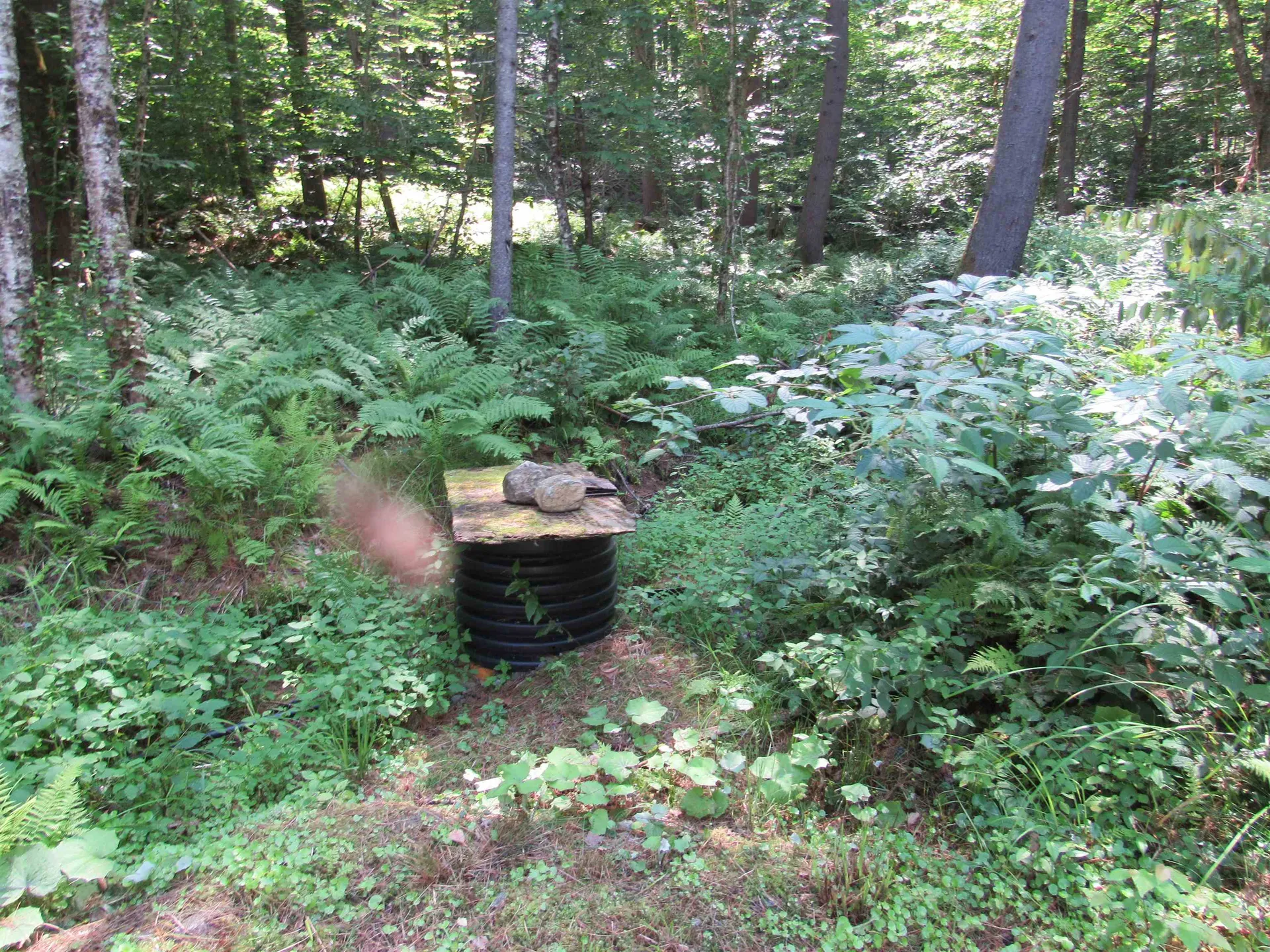 OOS-65-13 Partridge Lane Jamaica VT 05343