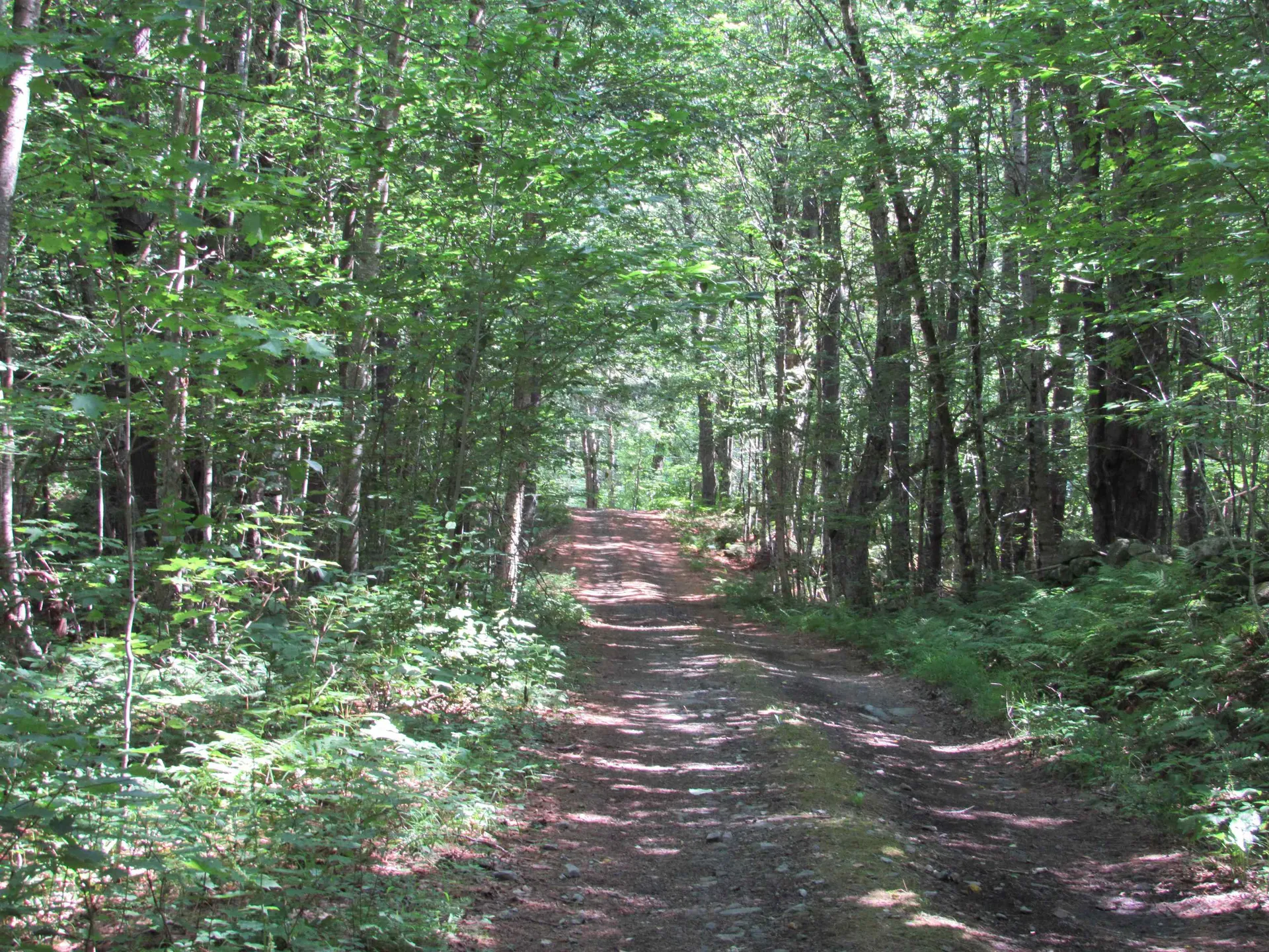 OOS-65-13 Partridge Lane Jamaica VT 05343