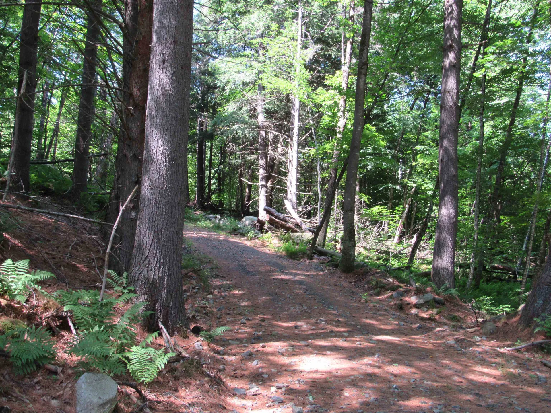 OOS-65-13 Partridge Lane Jamaica VT 05343