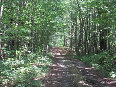 OOS-65-13 Partridge Lane Jamaica VT 05343