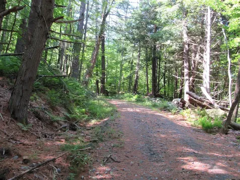 OOS-65-13 Partridge Lane Jamaica VT 05343